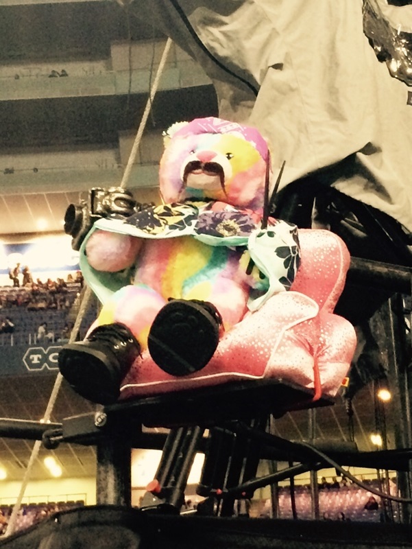 Osaka D Rainbow Bondage Bear Sugar Baby Bear