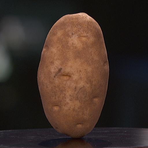 1D Potato